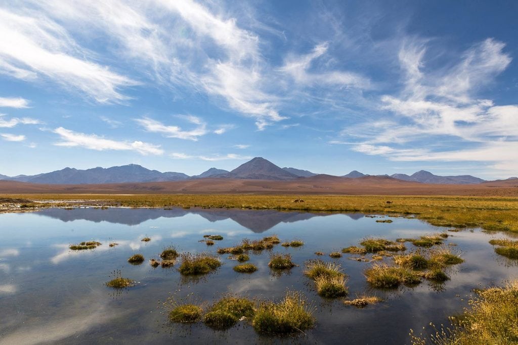 Taking a Tour of the El Tatio Geysers, Chile (2024 Guide)