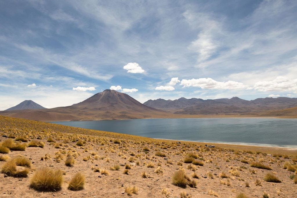 Atacama Desert Tours: Exploring the lagoons of the Atacama Desert