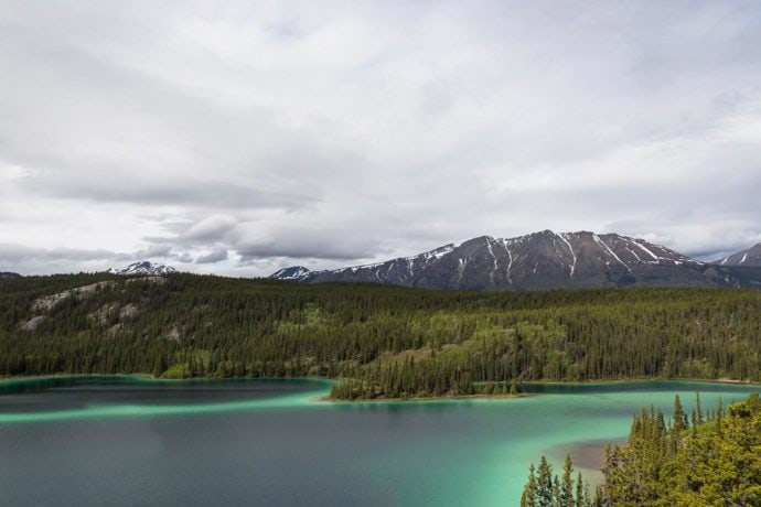 5 Incredible Things To Do In Whitehorse, Canada (2024 Guide)