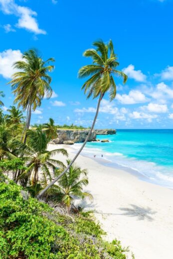 Barbados Itinerary: The Perfect One Week in Barbados (2023 Guide)