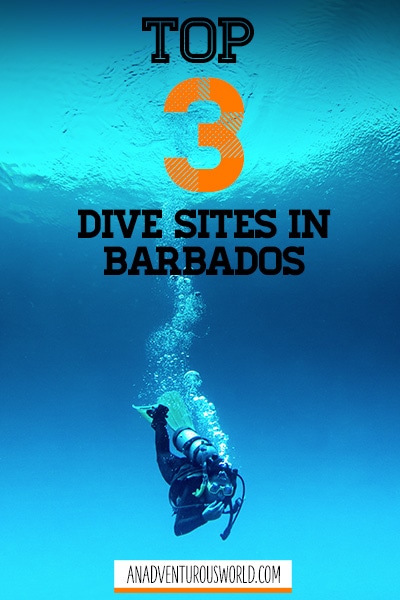 Dive Sites Barbados: A look at the best dive sites in Barbados (2024)