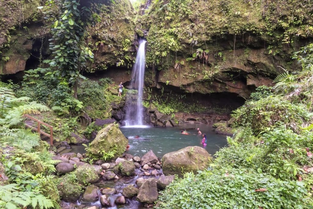 The Definitive Guide To Emerald Pool In Dominica 2023 Guide