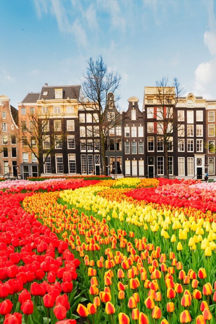 12+ BEST Things to do in Amsterdam in Summer (2024 Guide)