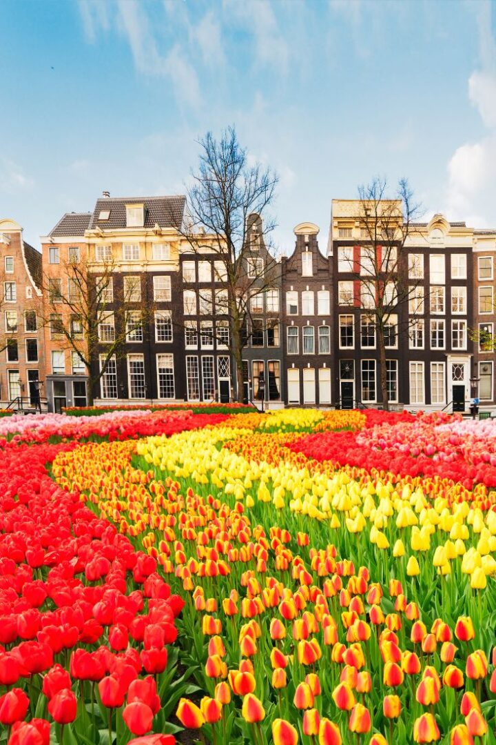 13 BEST Boutique Hotels in Amsterdam (2024 Guide)