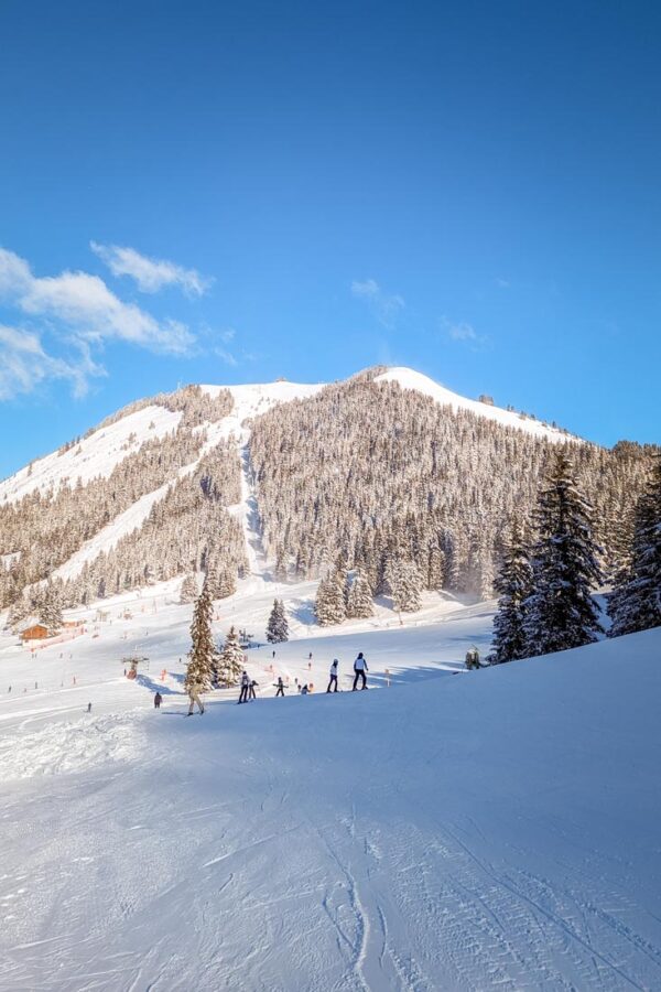 The Ultimate Guide to Skiing in Chatel, France (2024 Guide)