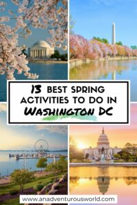 13 BEST Things to do in Washington DC in Spring (2024 Guide)